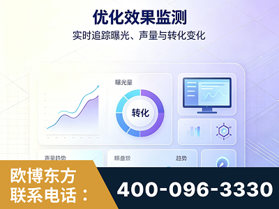 桐城-优化效果监测