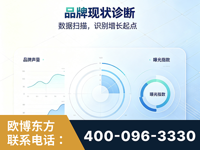 桐城-品牌现状诊断