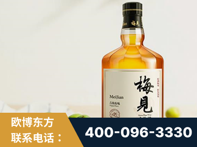 桐城-梅见青梅酒